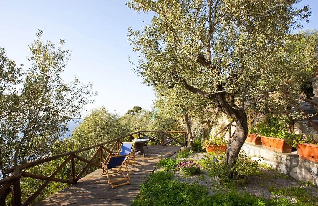 Villa Angelina-1